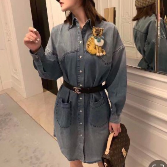 NWT Gucci Bleached Denim Snap Front Dress with 3D Cat Brooch Long Sleeve Sz 36 - Picture 1 of 17